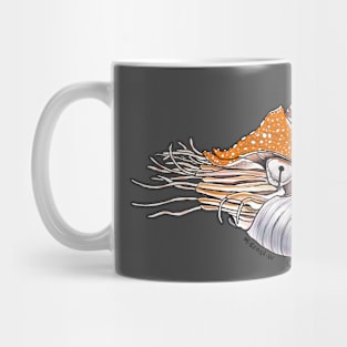 Chambered Nautilus Mug